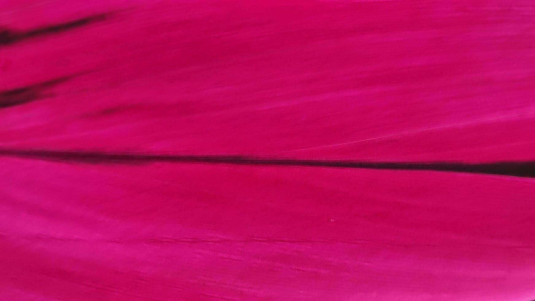 Abstract Magenta Texture - Dynamic Brushstrokes and Subtle Dark Accents. photo