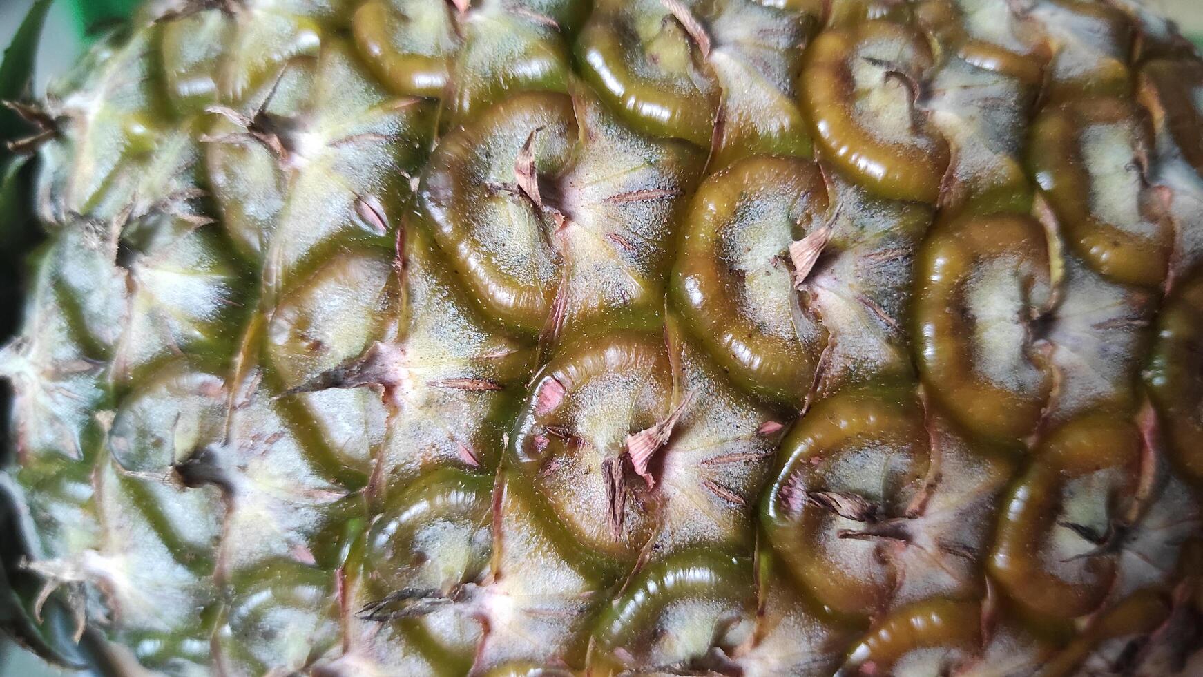 Closeup Texture of a Pineapples Skin Detailed Patterns and Hues. photo