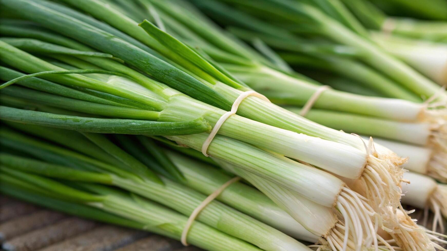 Green onions are tied up in bundles photo