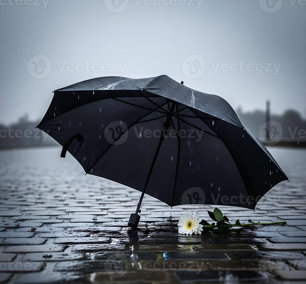 Black Umbrella in the Rain with White Flower photo