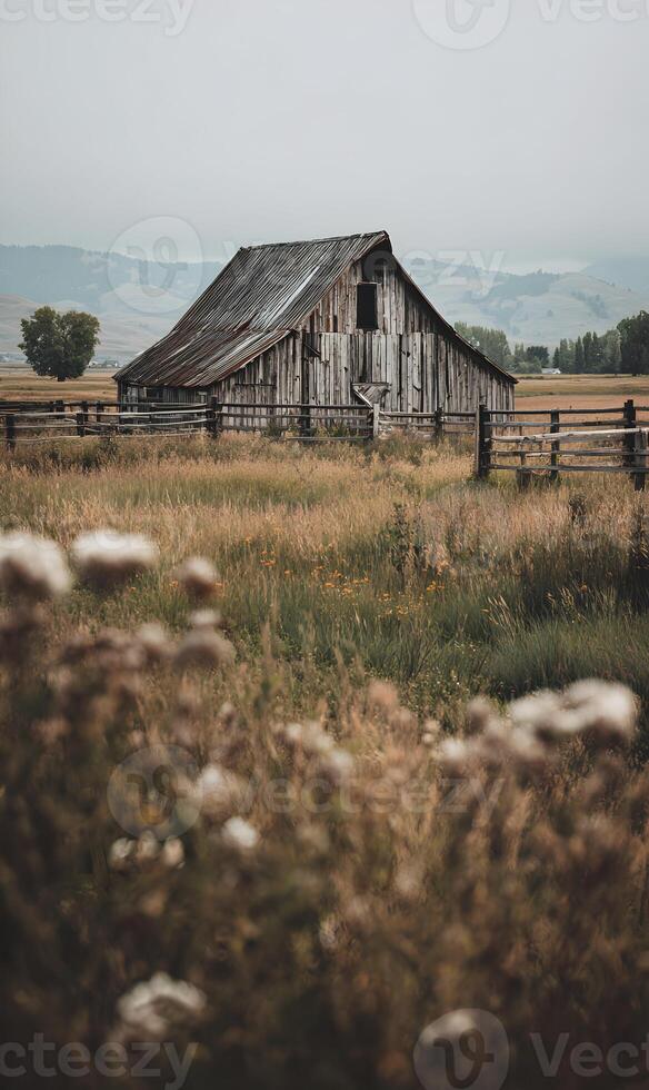 Rustic charm emanates from an old weathered barn nestled in a serene meadow landscape tranquility photo