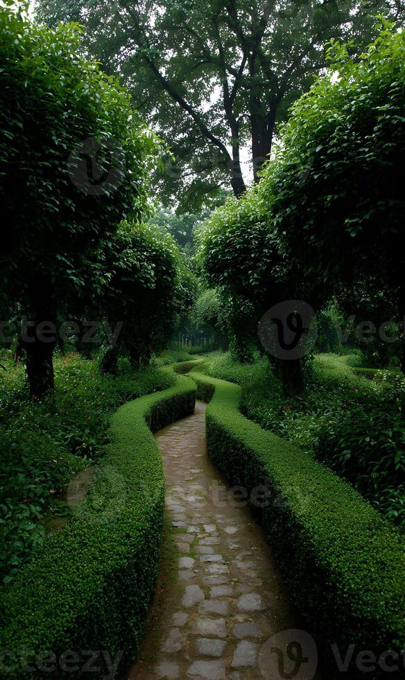 Serpentine path through a meticulously manicured garden with sculpted hedges and lush foliage creates a calming scene photo