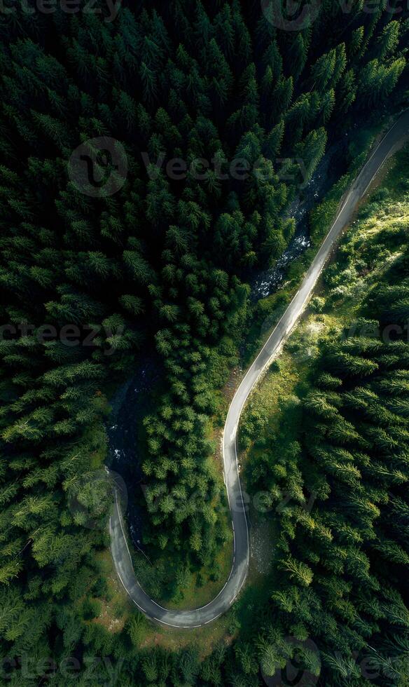 Aerial view of a winding road through a vibrant evergreen forest canopy picturesque drive through photo