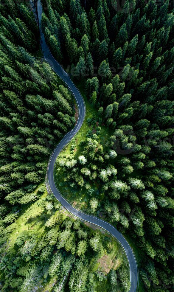 Winding road through emerald green forest aerial view natural scenic route journey through dense photo