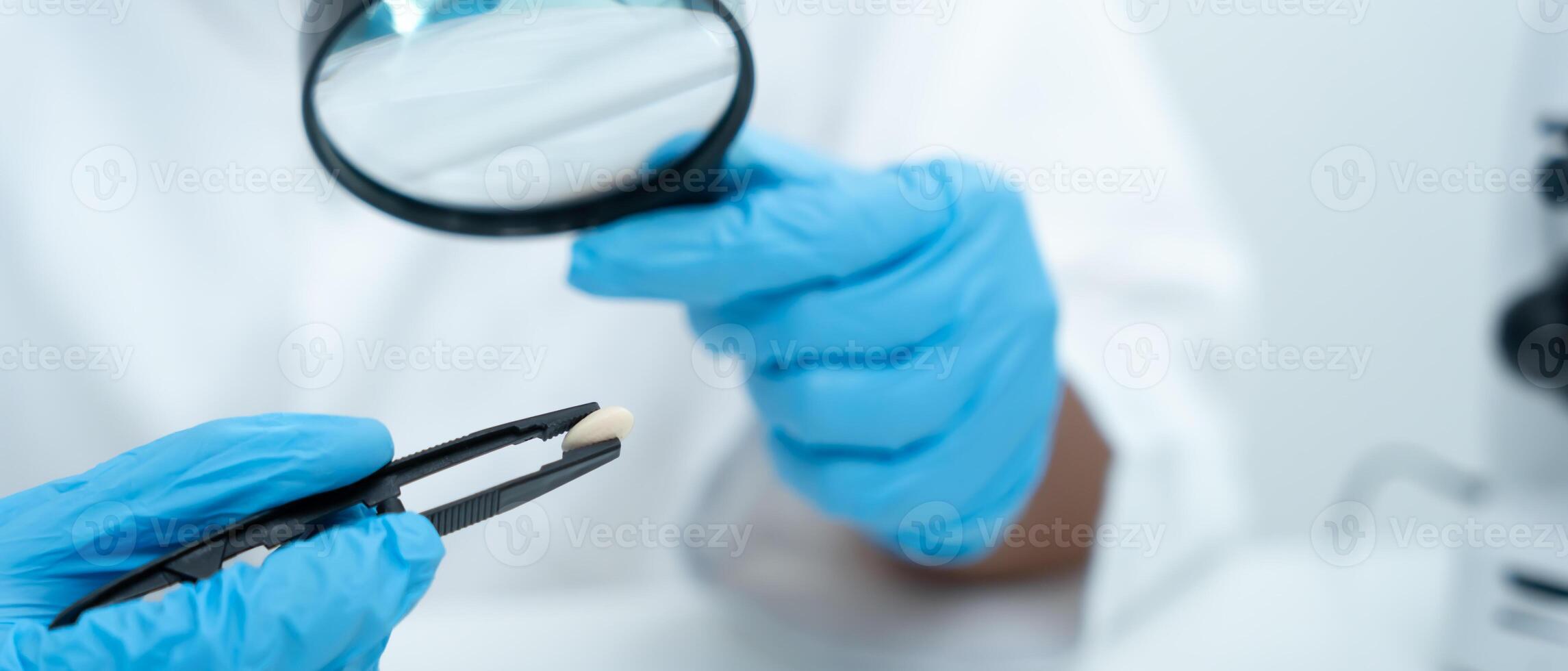 Scientist use magnifying glass to check physical occur from chemical on fruit and whole grains residues in laboratory. inspect the concentration of chemical residues, standard, find prohibit photo