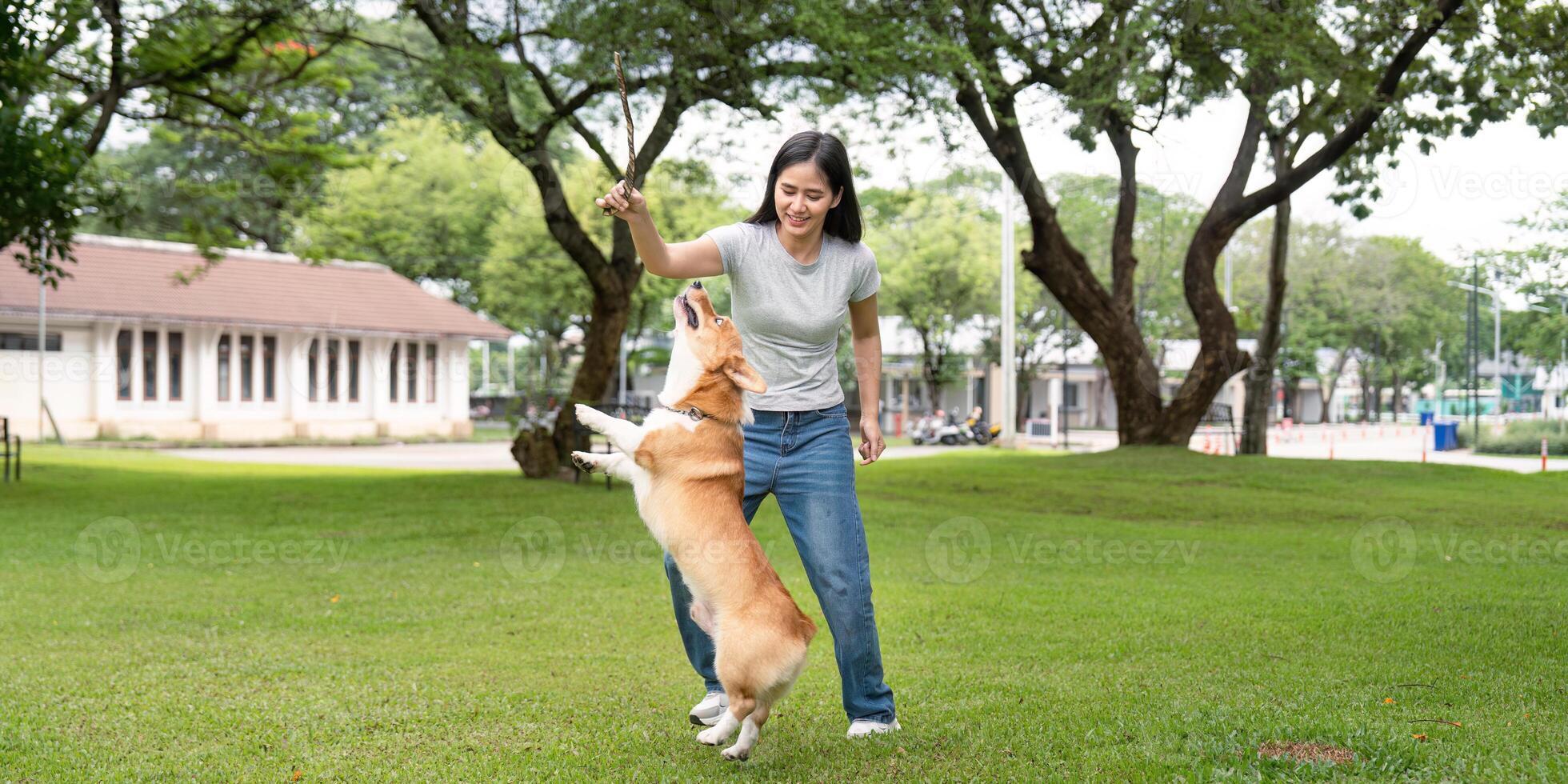 Playful Interaction with Corgi. Young woman engaging her dog in a lively park. photo