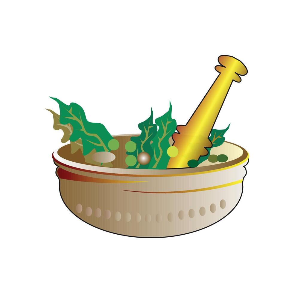 Herbal elements art vector