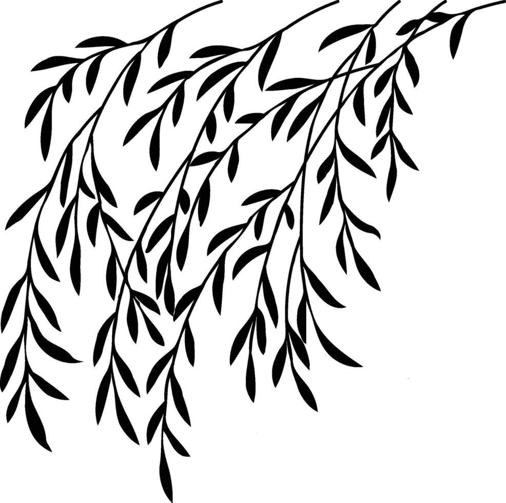 Elegant Willow Branch Corner Design vector