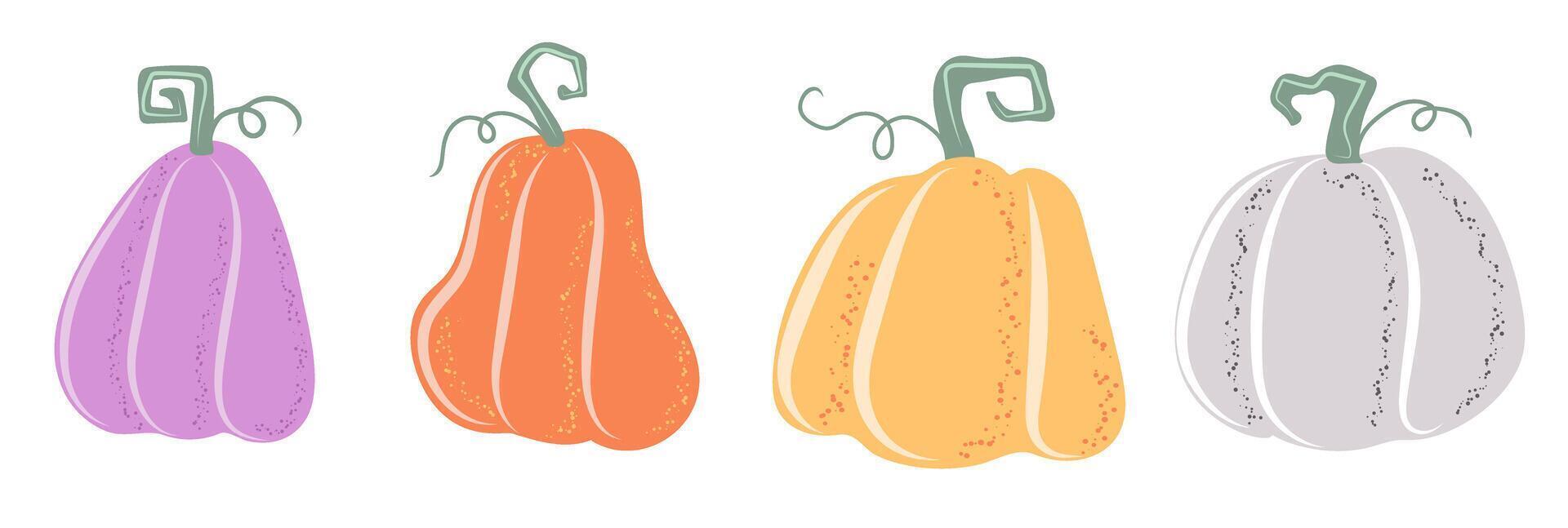 Hand drawn autumn pumpkin set. Autumn Vegetable harvest. Collection of Elements for Halloween or Thanksgiving decorative design vector