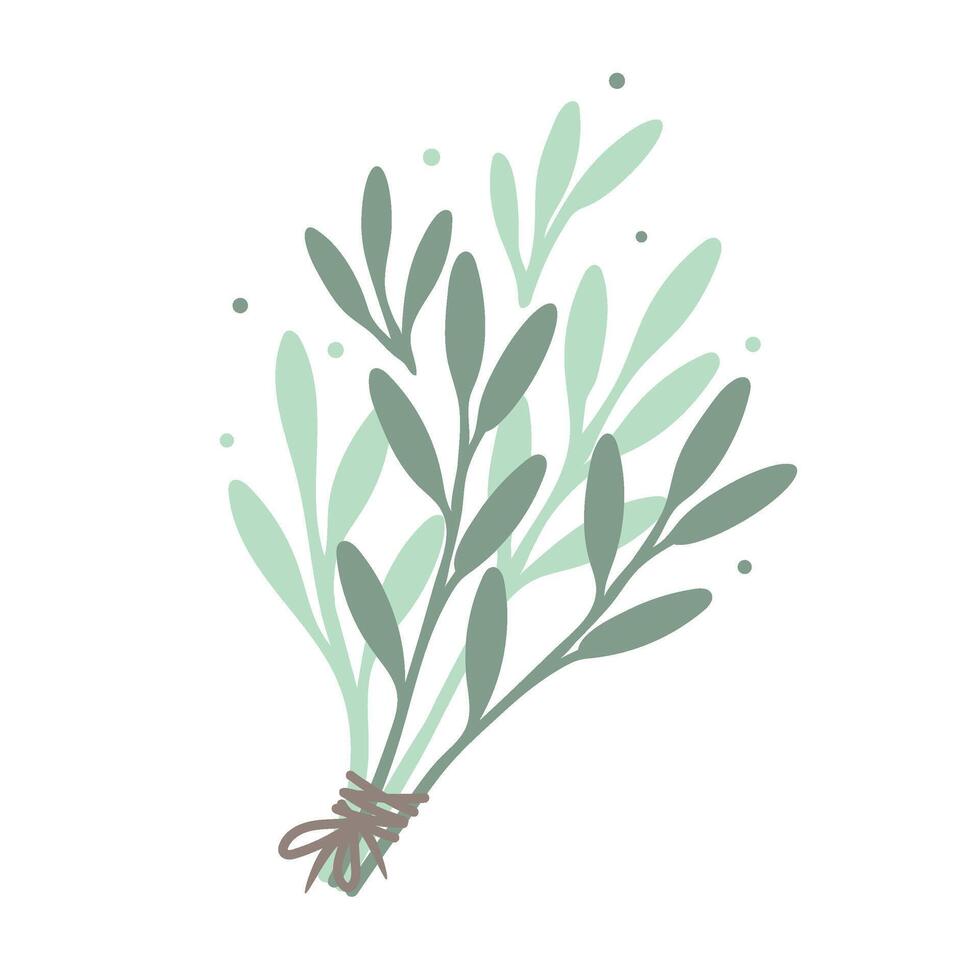 Bouquet of wild herbs. Hand drawn dried witch herbs. Decorative design element. vector