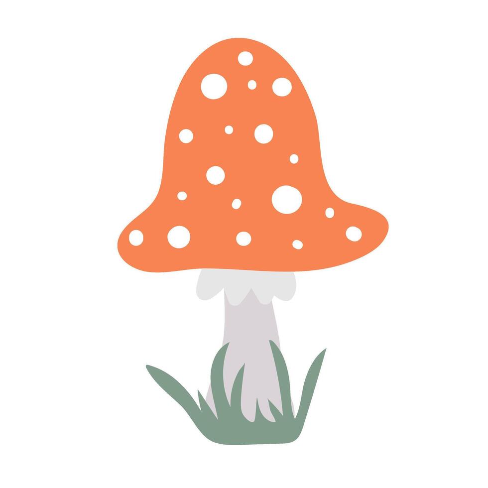 Amanita. Hand drawn poisonous mushroom fly agaric vector