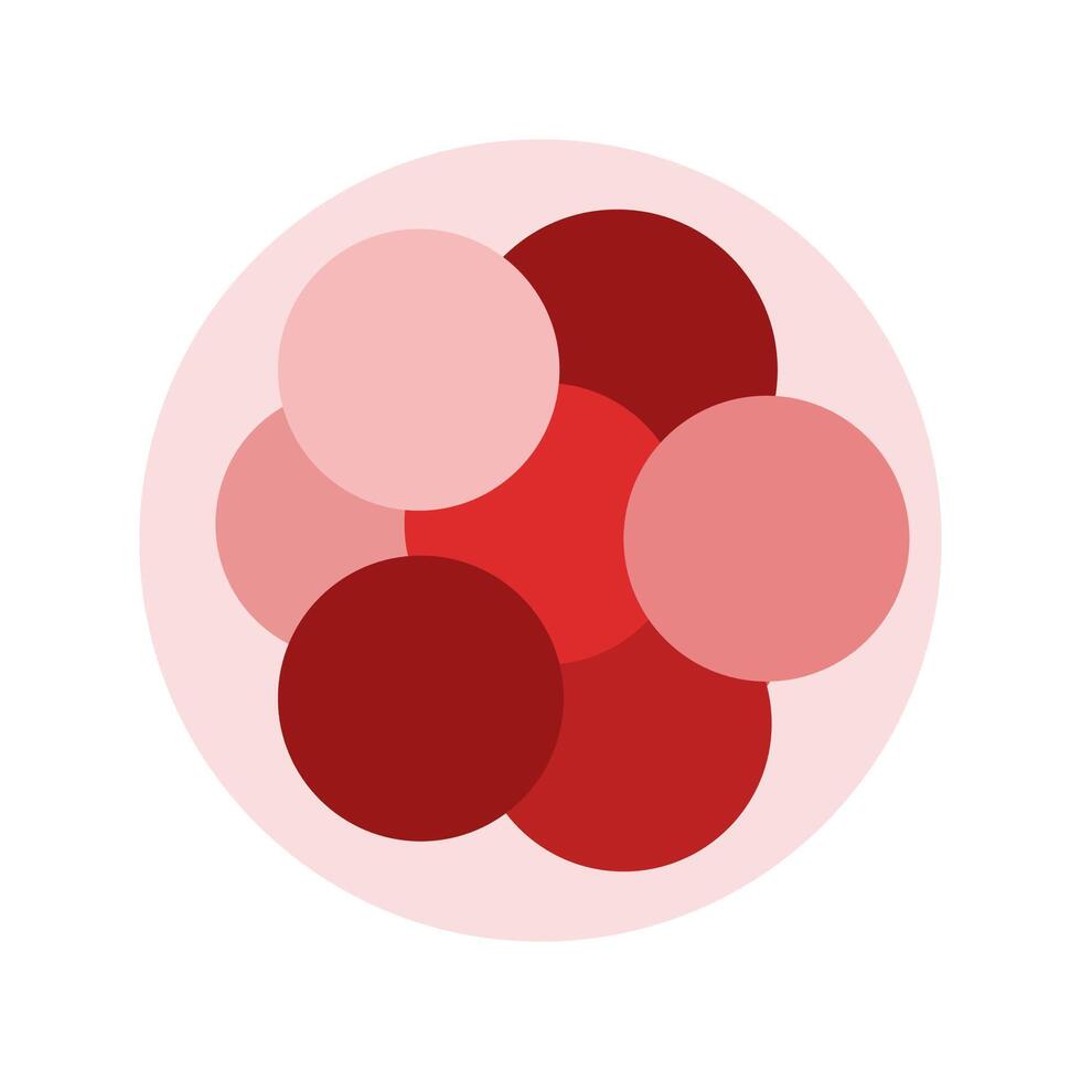 Early Cancer Cell Division vector