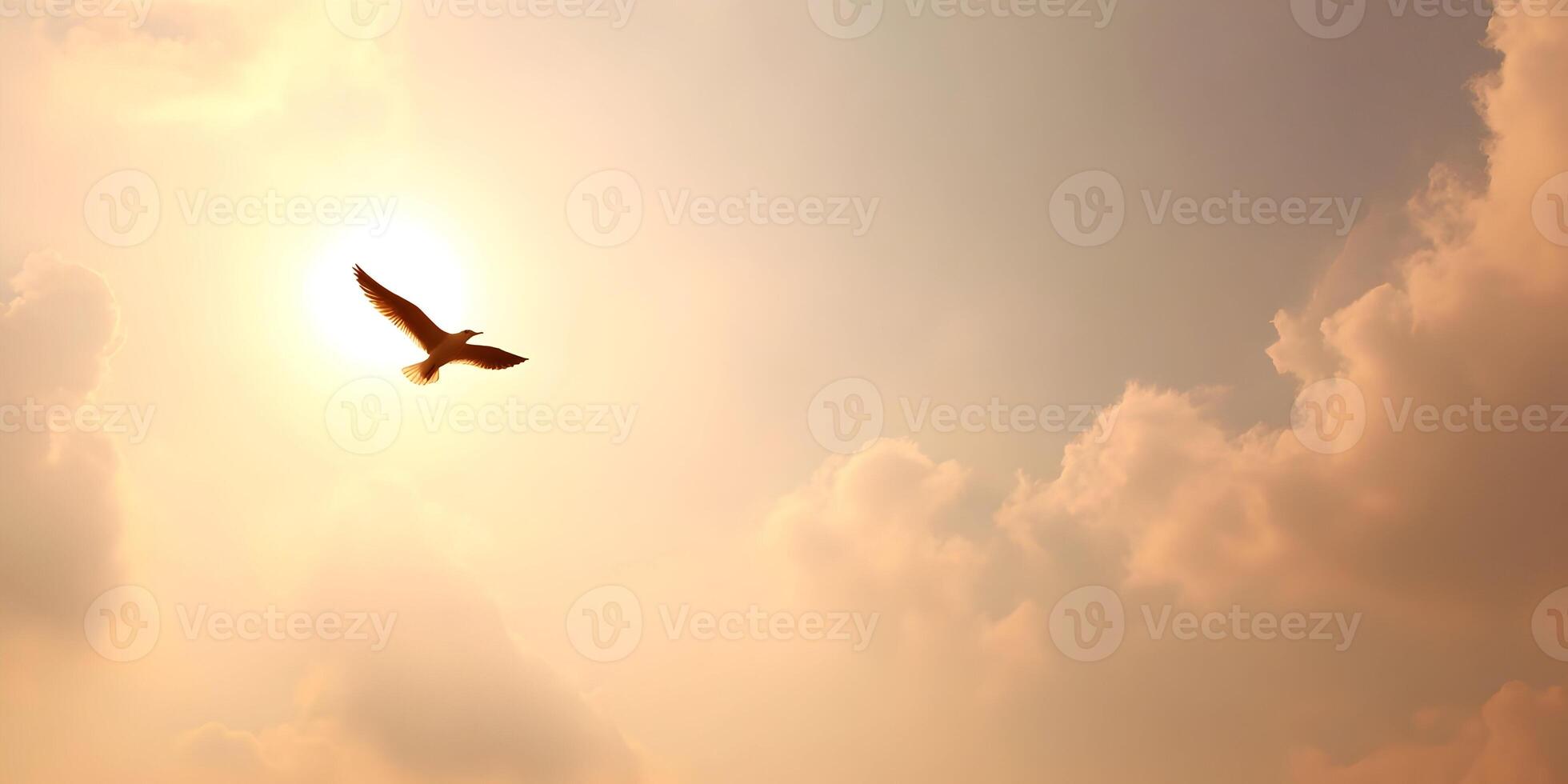 Single Bird Flying in Cloudy Sky at Sunset Golden Hour photo