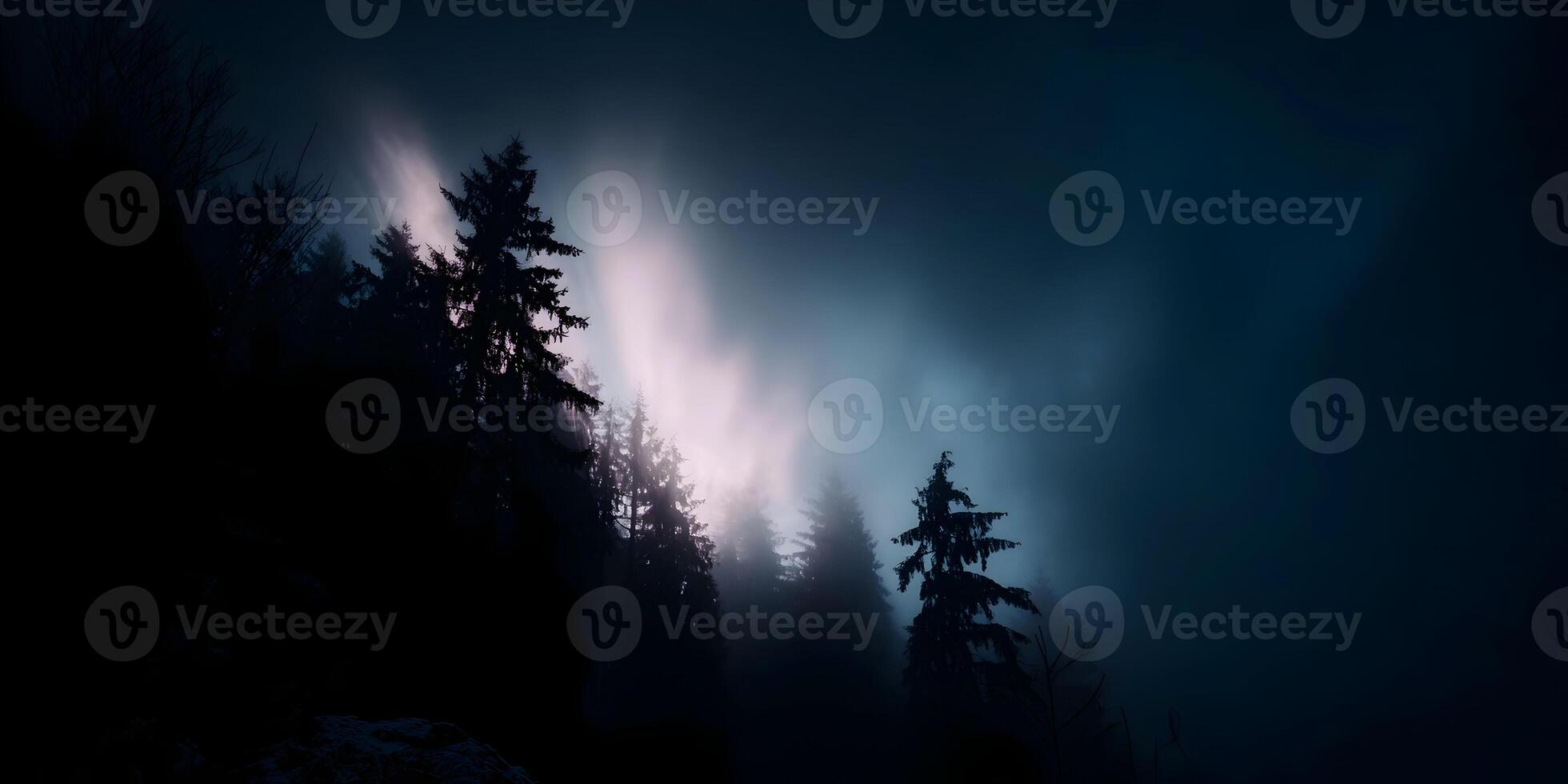 Dark Forest Foggy Night Scene Mysterious Atmosphere Silhouetted Trees photo