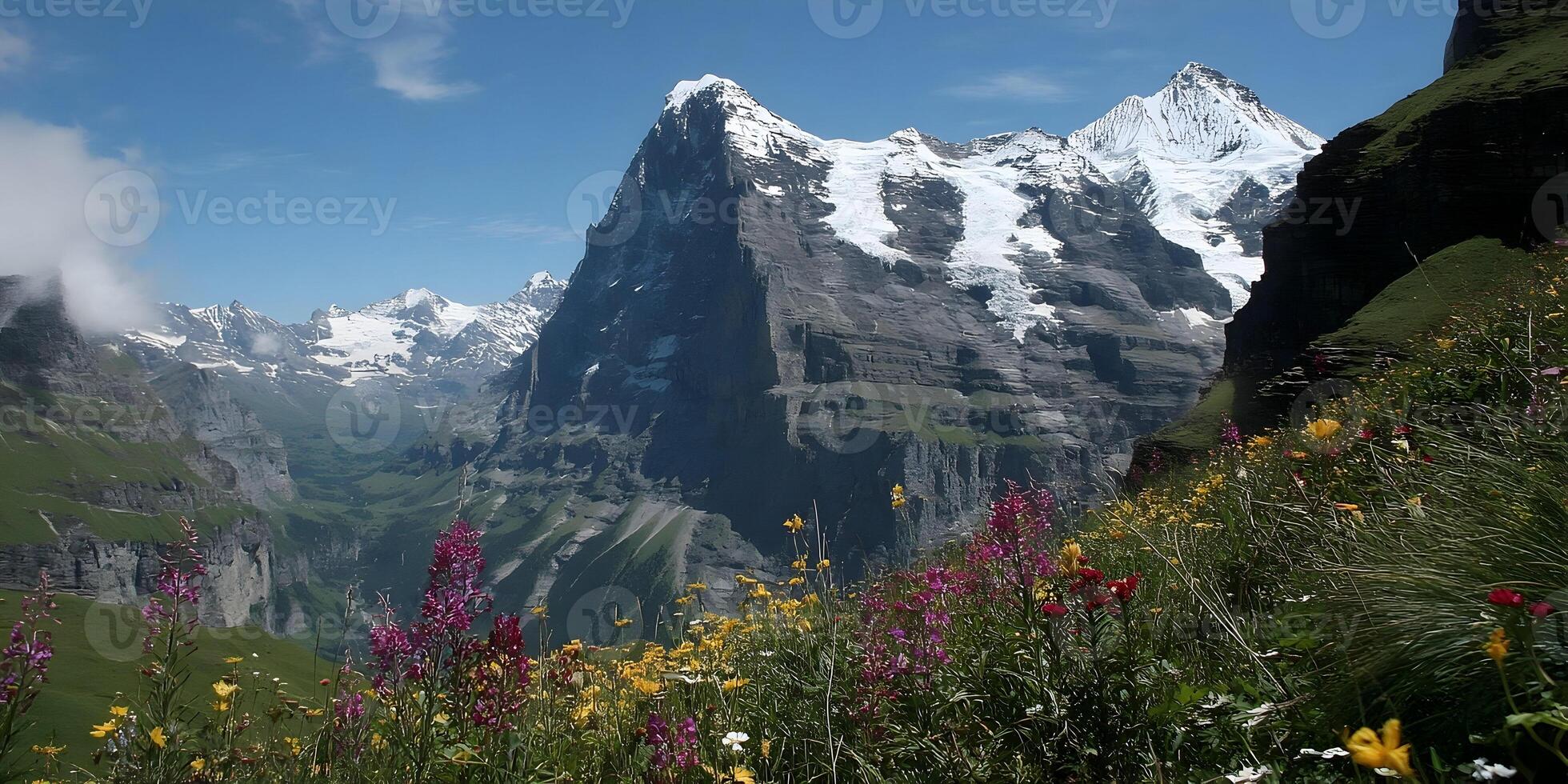 Swiss Alps Mountain Range with Wildflowers Panorama photo