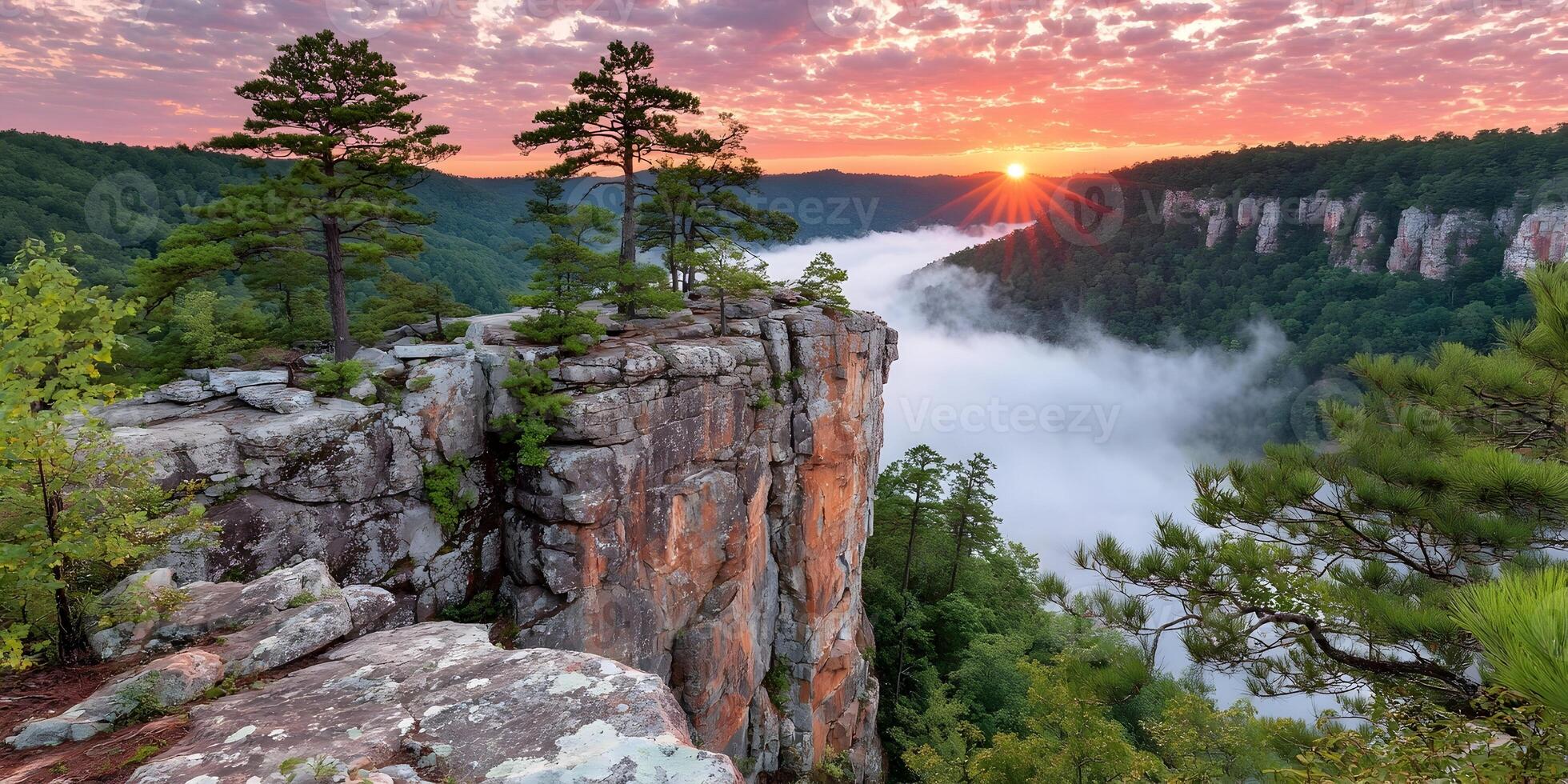 Sunrise Over Mountain Cliff Dramatic Landscape with Fog Pine Trees photo