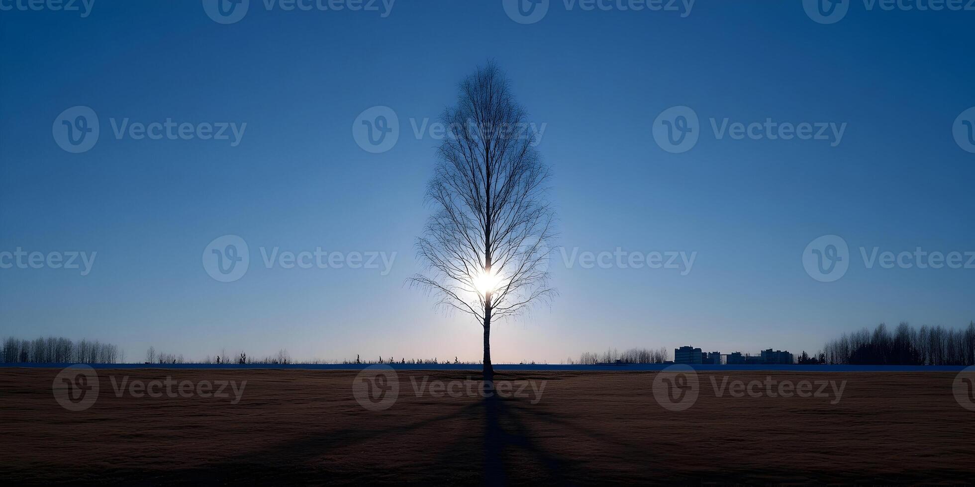 Silhouette of a leafless tree with sun shining through branches winter landscape background photo
