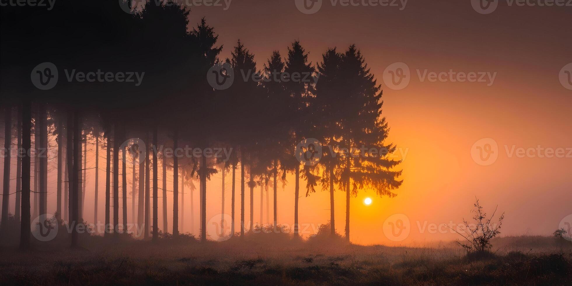 Misty Sunrise in Pine Forest Golden Hour Landscape Scenery photo