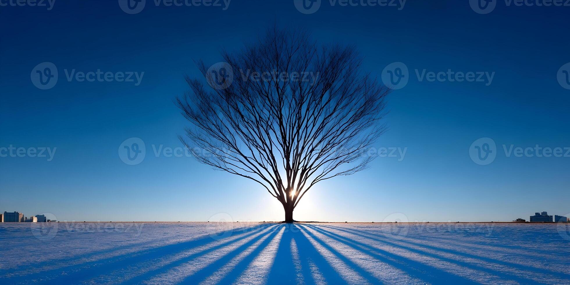 Silhouette of Leafless Tree in Snowy Field at Sunset with City Skyline photo