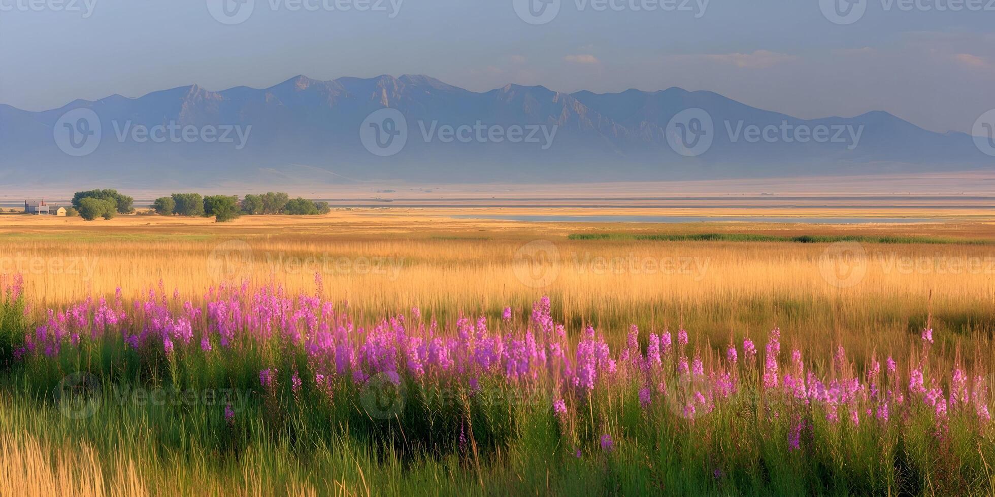 Purple Flowers Golden Grass Field Mountain Landscape Sunrise photo