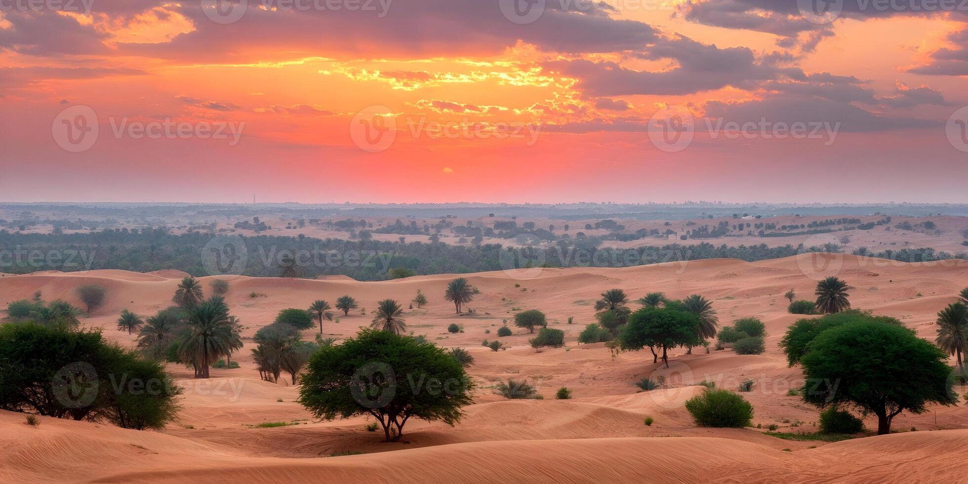 Desert Landscape Sunrise Palm Trees Sand Dunes Scenic View photo