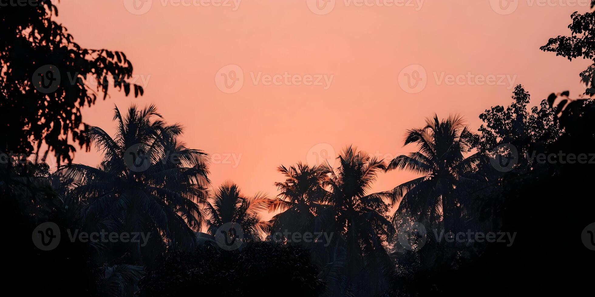 Silhouette Palm Trees Orange Sunset Tropical Scene photo
