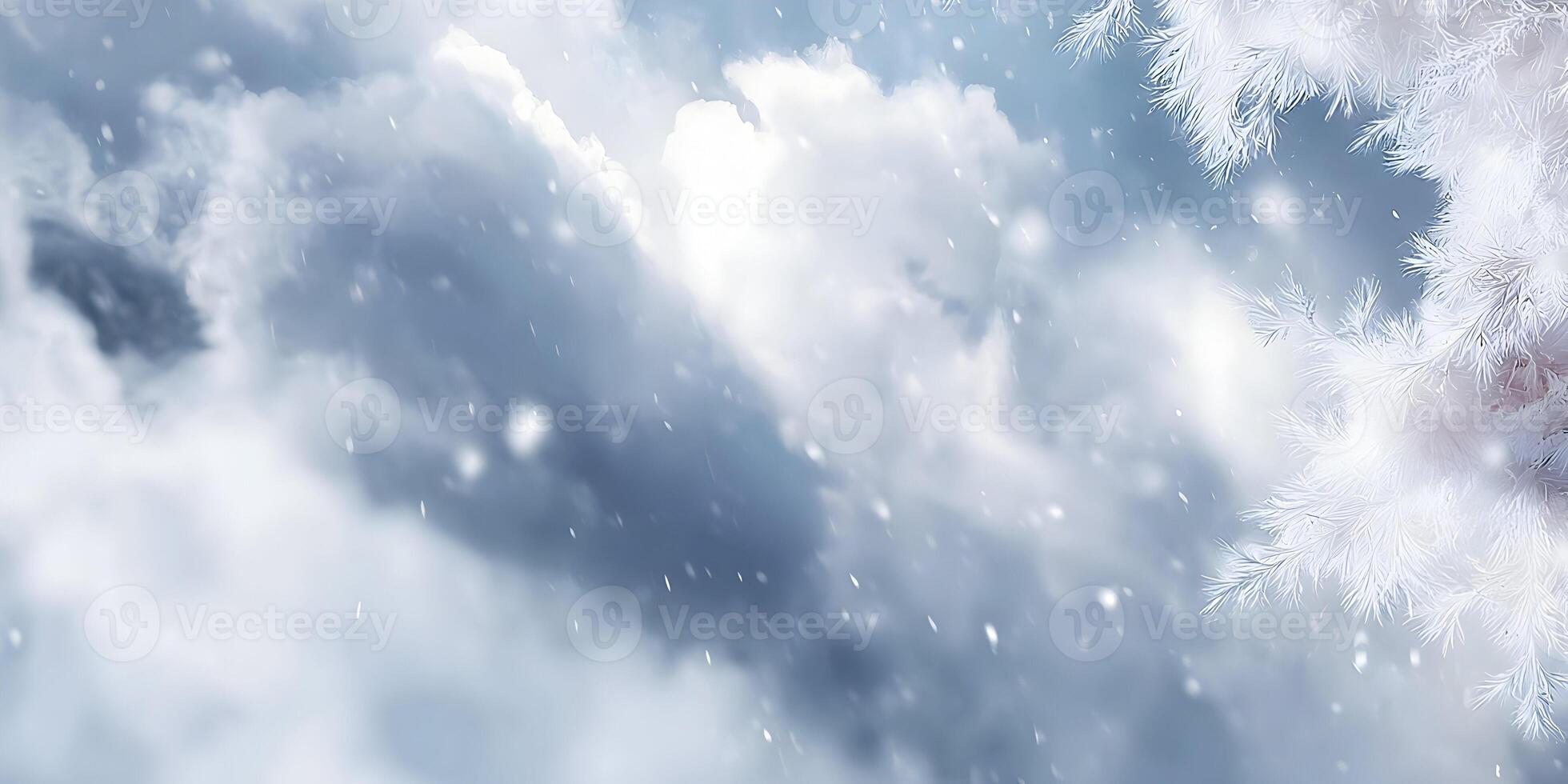 Snowy Winter Scene with Frosty Pine Branches and Falling Snowflakes Winter Wonderland Background photo