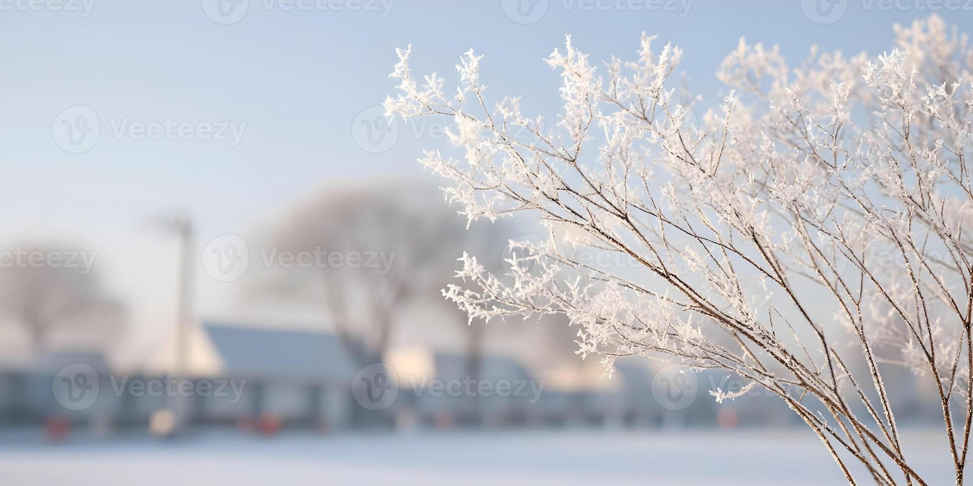 Frost Covered Branches Winter Scene Snowy Landscape photo