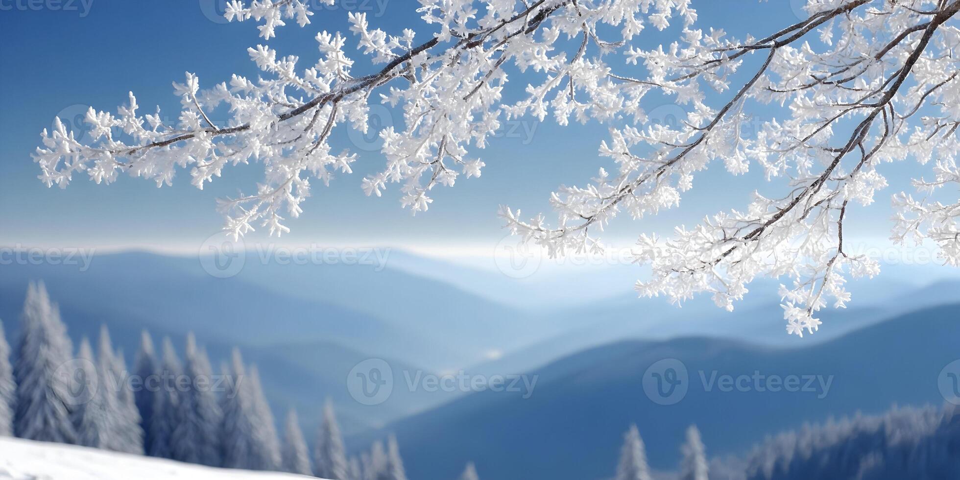Winter Frost on Branch Snowy Mountain Landscape photo