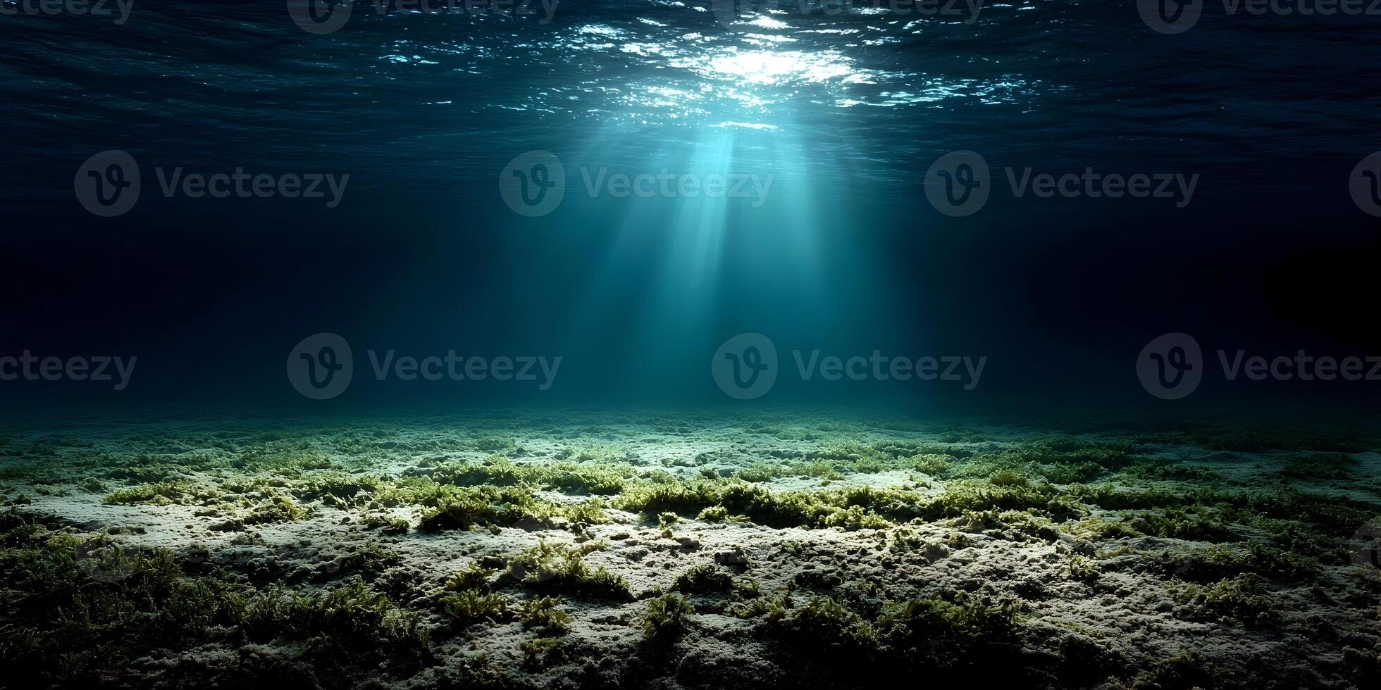 Ocean Floor Underwater Scene Sunlight Rays Seabed Algae photo