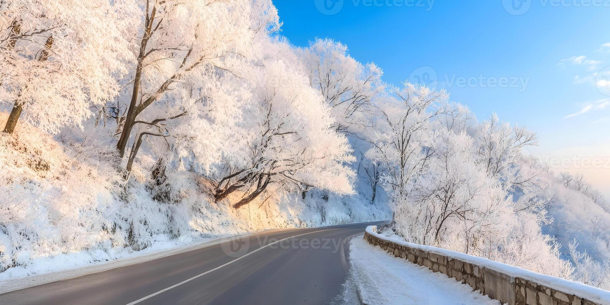 Winter Road Snow Covered Trees Landscape Frosty Branches Winding Asphalt Road Snowy Scenery photo