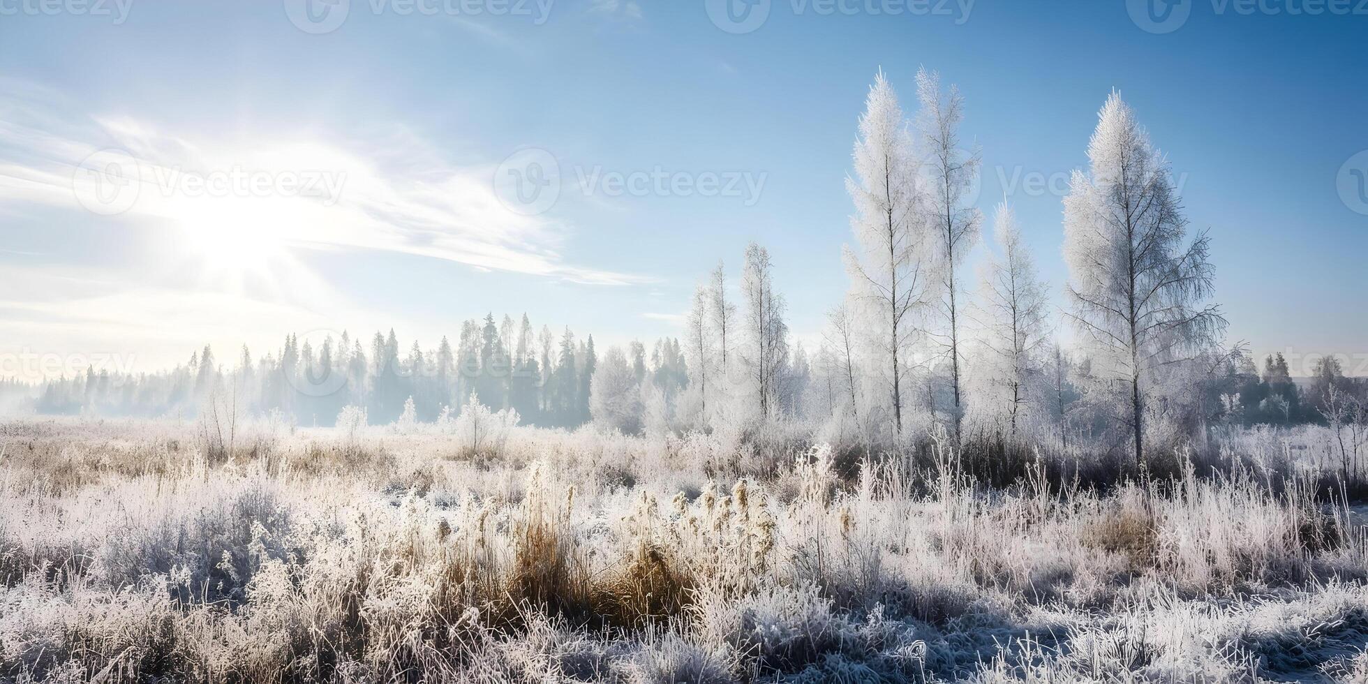 Winter Landscape Frosty Trees and Field Snow Covered Plants Cold Season Scenery photo