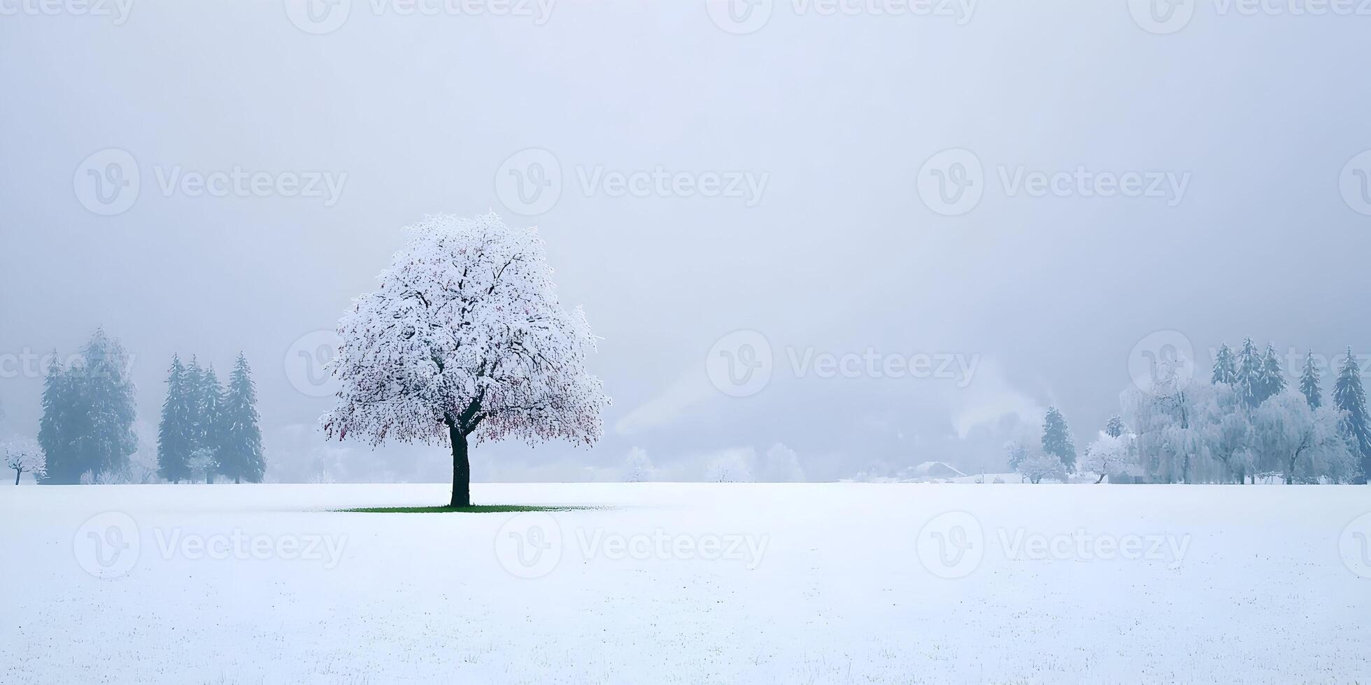 Snow Covered Tree Winter Landscape Single Tree in Snowy Field photo