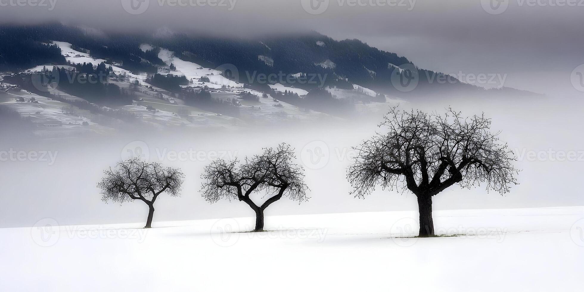 Three Leafless Trees Snowy Landscape Winter Mountains Foggy Scenery photo