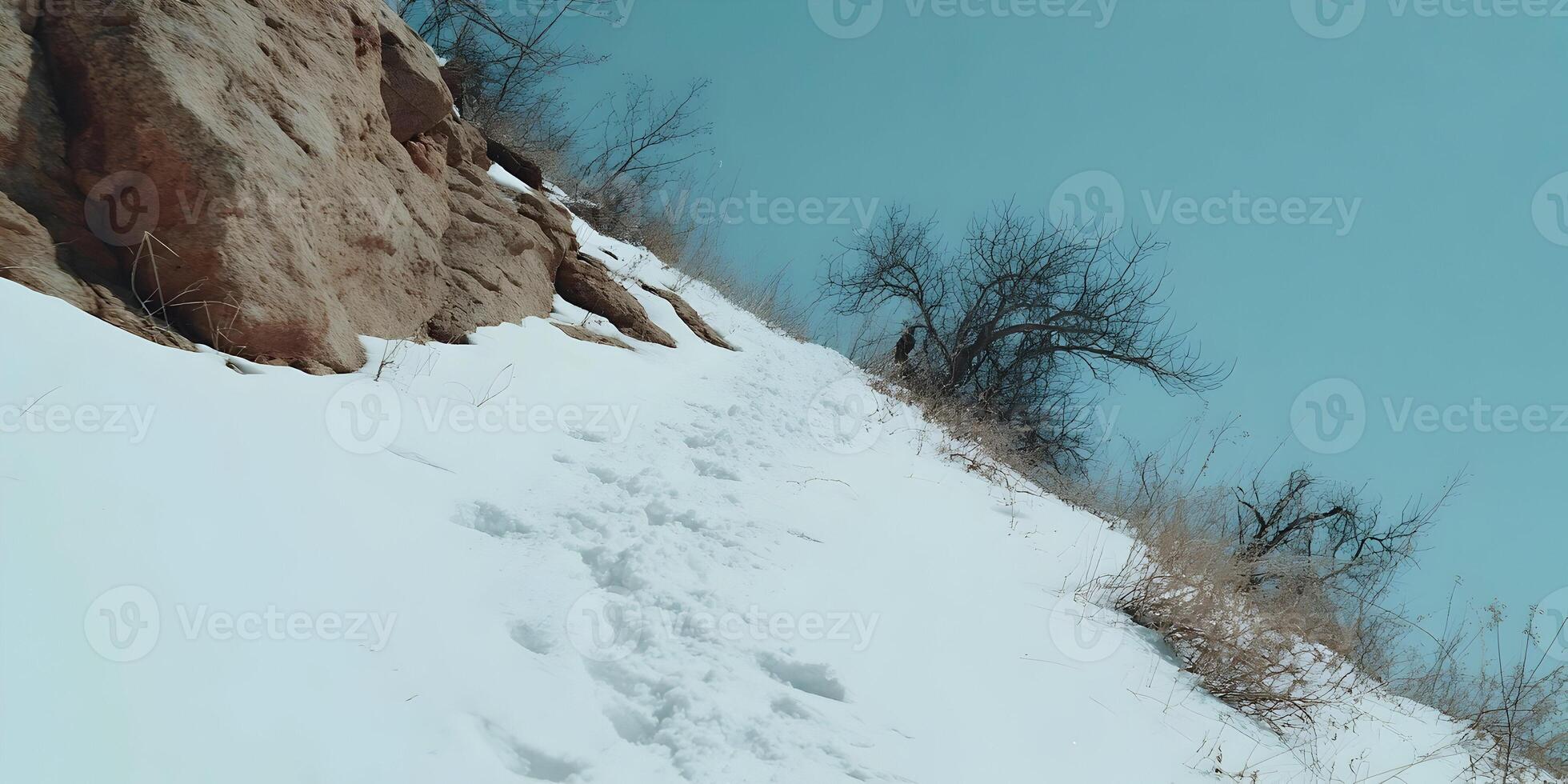 SnowCovered Hillside Trail Footprints Winter Landscape Rocky Cliff Dry Grass photo