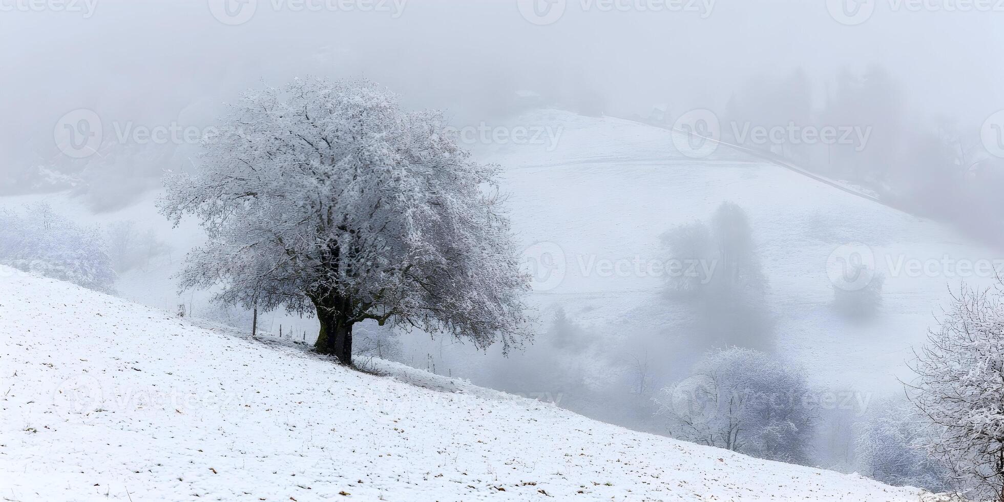 Snow Covered Landscape with Single Tree on Hillside Winter Scenery photo