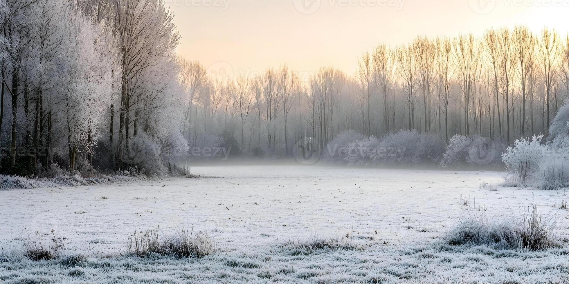 Frosty Winter Landscape Sunrise Scene Trees Covered in Frost Frozen Field photo