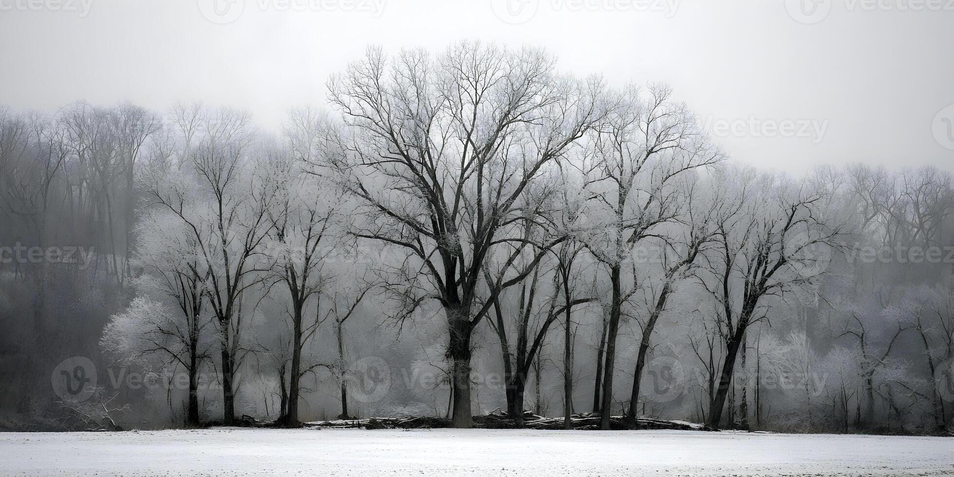 Winter Landscape Snow Covered Trees Frosty Branches Snowy Field Cold Season Nature Scene photo