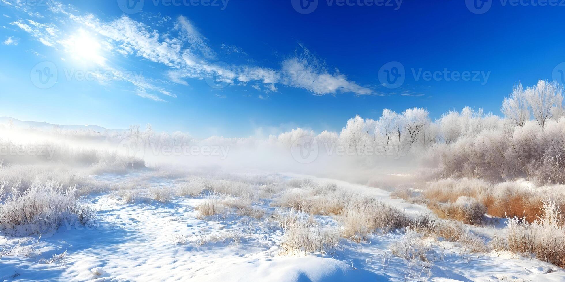 Snowy Winter Landscape Frosty Trees Foggy Meadow Bright Sunny Day photo