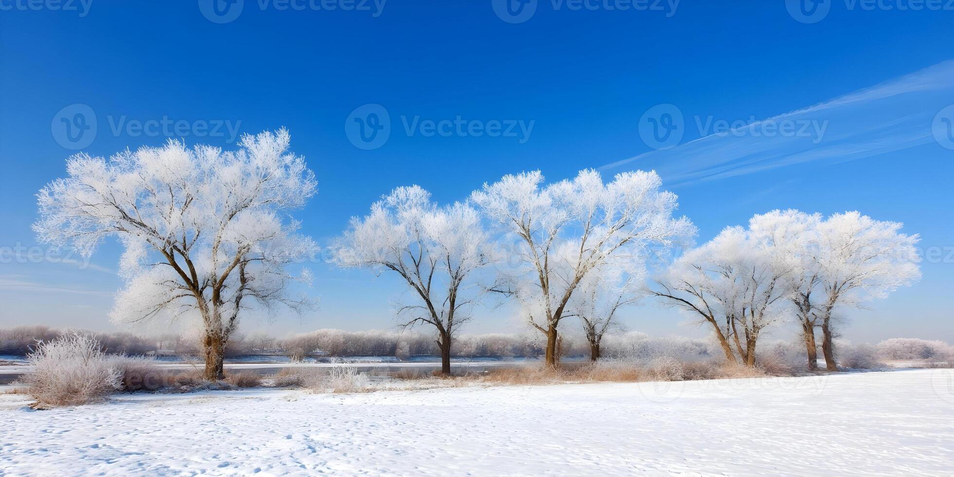 Row of FrostCovered Trees Winter Landscape Snowy Field Blue Sky photo