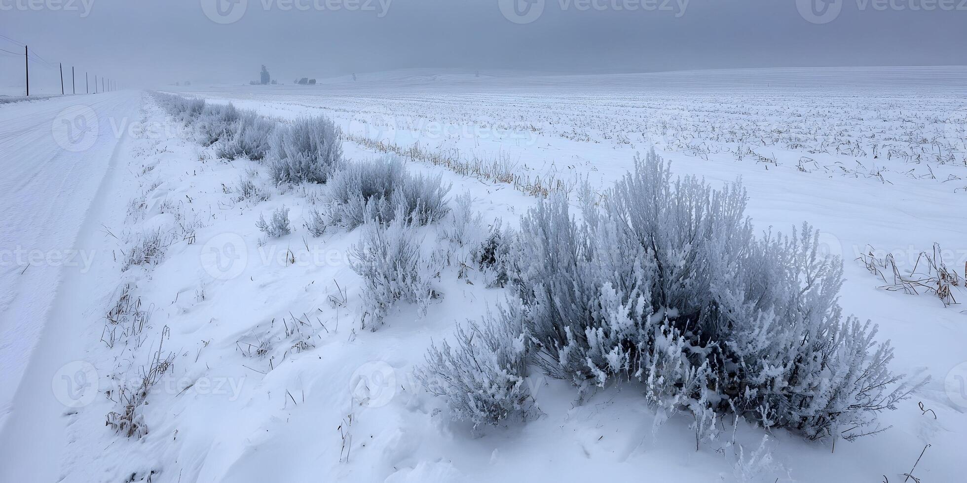 Snowy Roadside Landscape with Frosty Bushes Winter Scene Rural Countryside photo