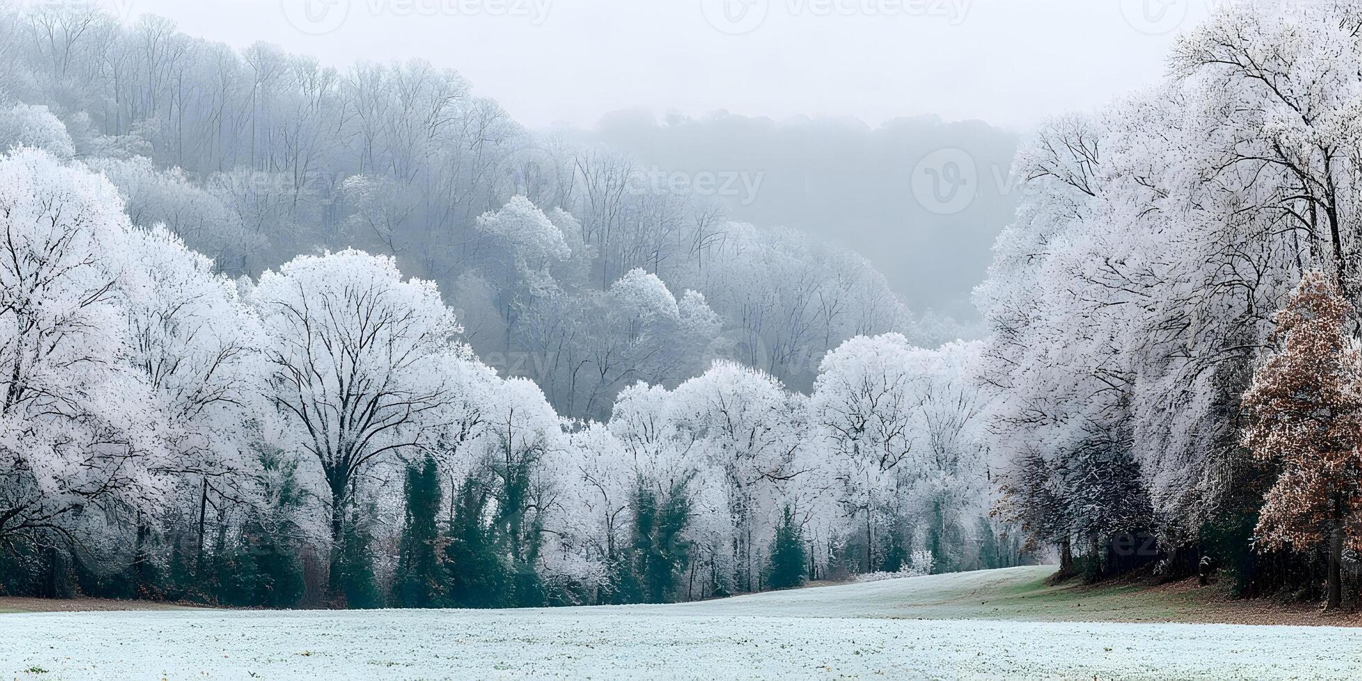 Winter Landscape Frosty Trees Snowy Field Hillside photo