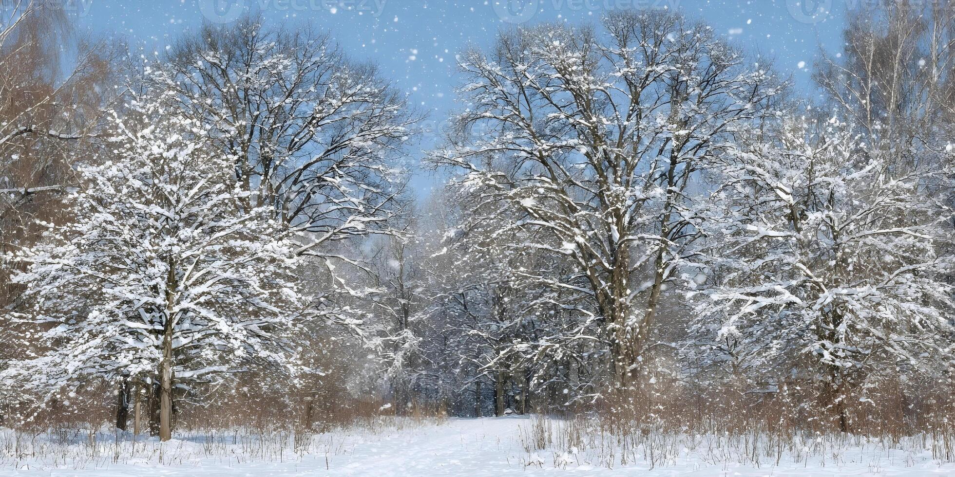 Snowy Winter Landscape Scene Snow Covered Trees Forest Path photo