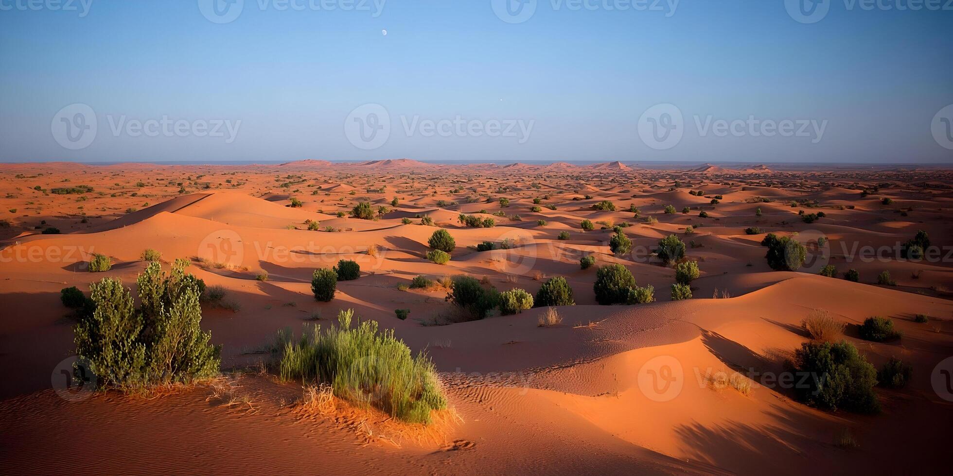 Saharan Desert Landscape Orange Sand Dunes Green Shrubs Plants Clear Sky photo