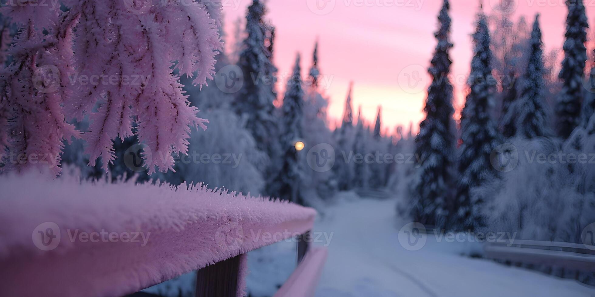 Frozen Winter Landscape Pink Sunset Snow Covered Fence Pine Trees photo