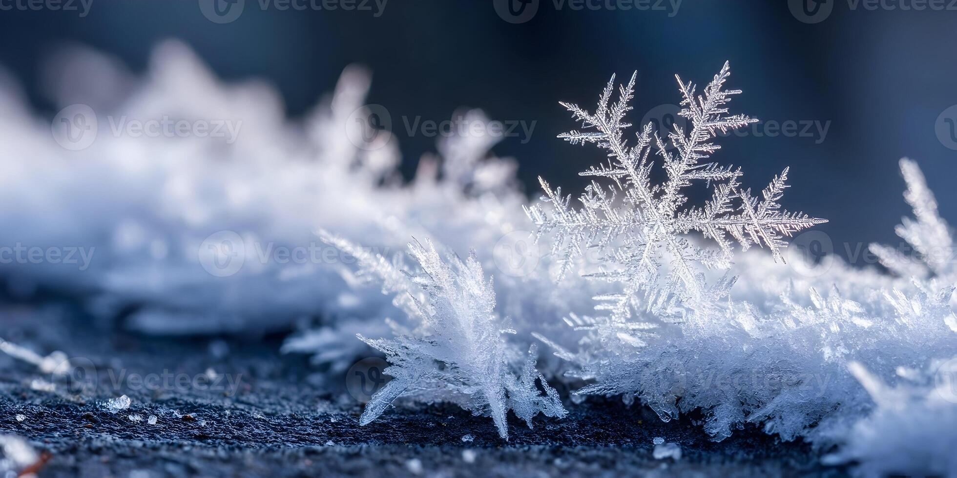 Detailed Closeup of Ice Crystals Snowflakes Winter Frozen Nature photo