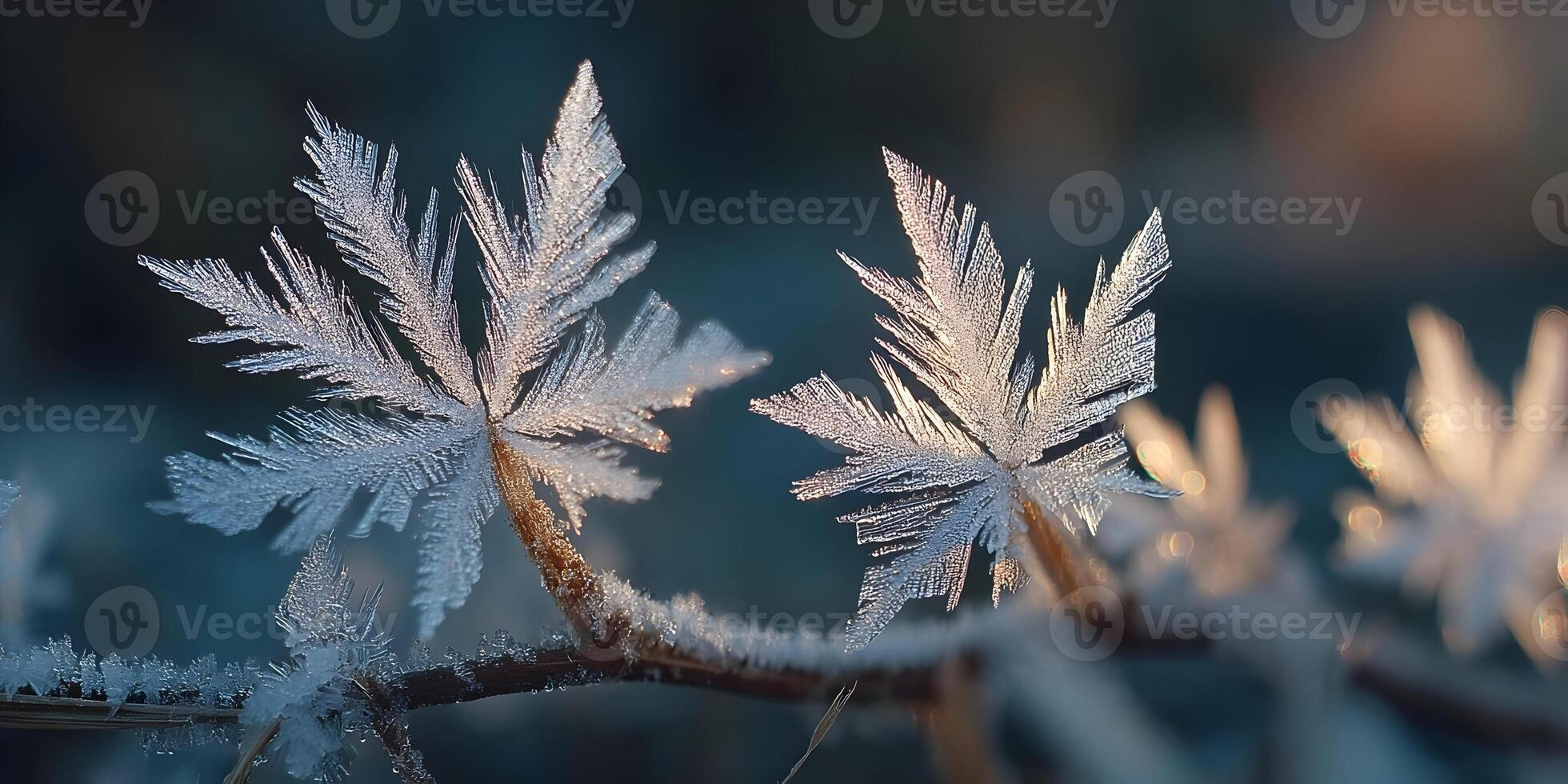 Stunning Frost Crystals on Branch Winter Nature Closeup photo