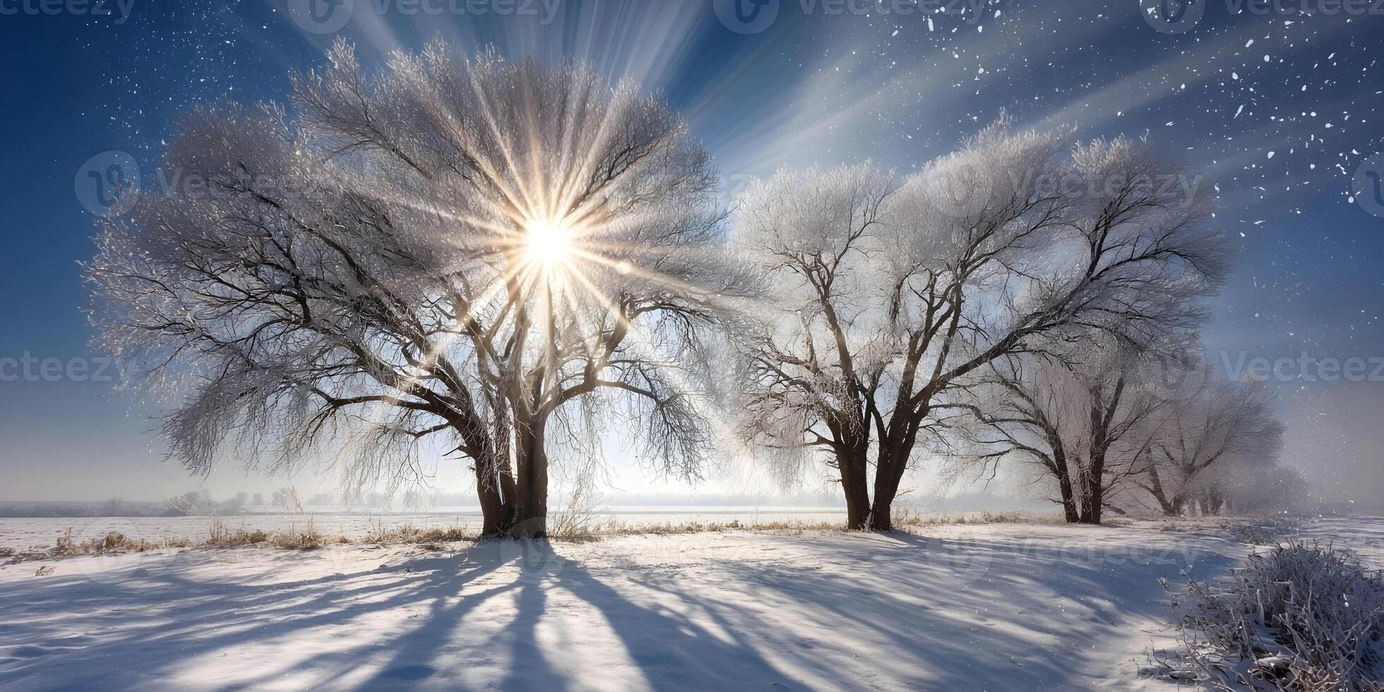 Winter Landscape Frosty Trees Snowy Field Sun Rays Snowflakes photo