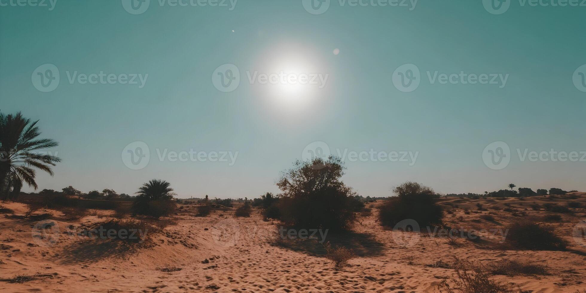 Desert Landscape Sunny Day Palm Trees Sand Dunes photo