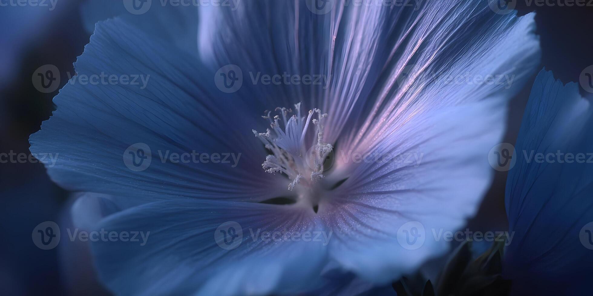 Closeup Blue Flower Petals Delicate Texture Macro Photography Botanical Bloom photo